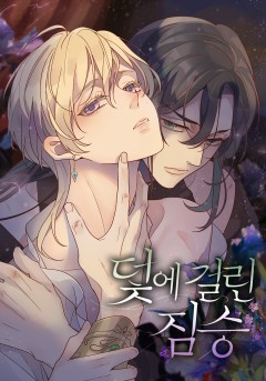 덫에 걸린 짐승