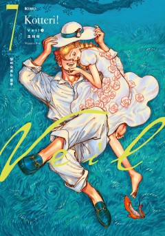 Veil [단행본]