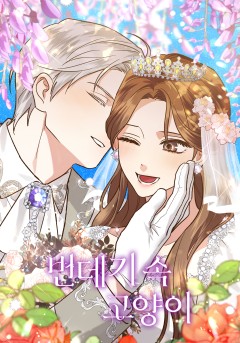 번데기 속 고양이
