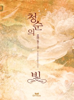 청순의 빛