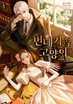 번데기 속 고양이