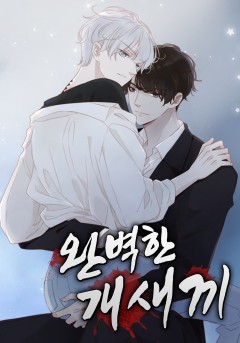 완벽한 개새끼