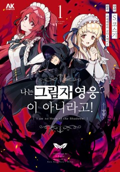 나는 그림자 영웅이 아니라고!