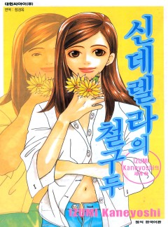 신데렐라의 철구두