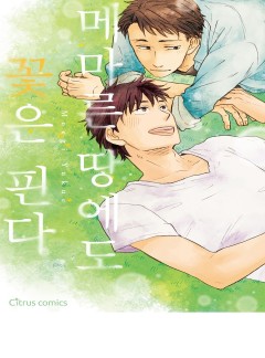 메마른 땅에도 꽃은 핀다