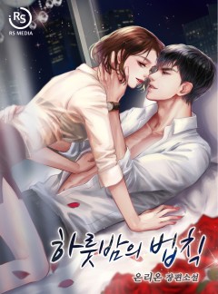 하룻밤의 법칙 [단행본]