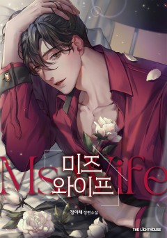 미즈 와이프