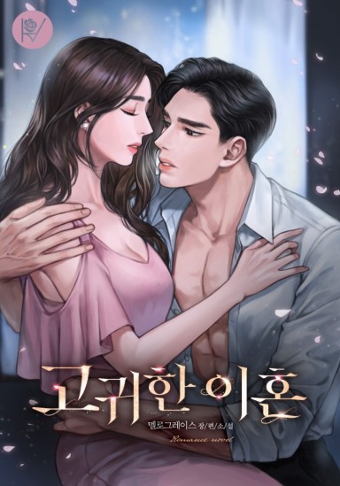 고귀한 이혼 cover